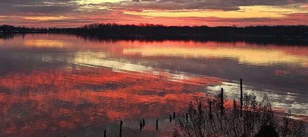 My 2026 Theme: Positive, Serene, Disciplined